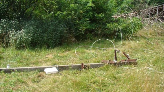 На Волині негода у двох селах повалила величезні дерева. ФОТО