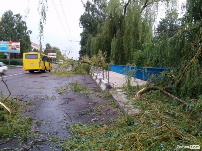 Гілля на проводах та потрощені дерева: луцький проспект після бурі. ФОТО