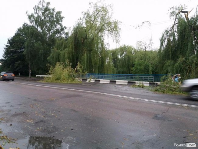 Гілля на проводах та потрощені дерева: луцький проспект після бурі. ФОТО