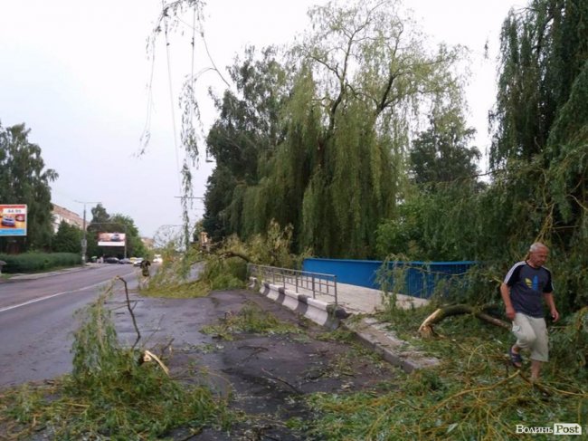 Гілля на проводах та потрощені дерева: луцький проспект після бурі. ФОТО