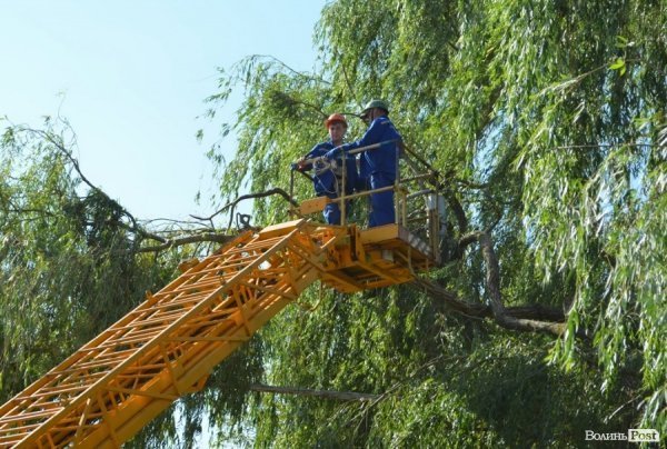 Стихія понищила дерева у Луцьку. ФОТО