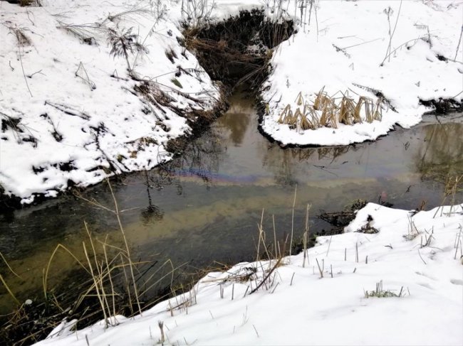 У луцьку річку зливають нафтопродукти, – соцмережі. ФОТО