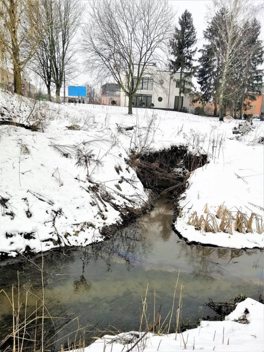 У луцьку річку зливають нафтопродукти, – соцмережі. ФОТО