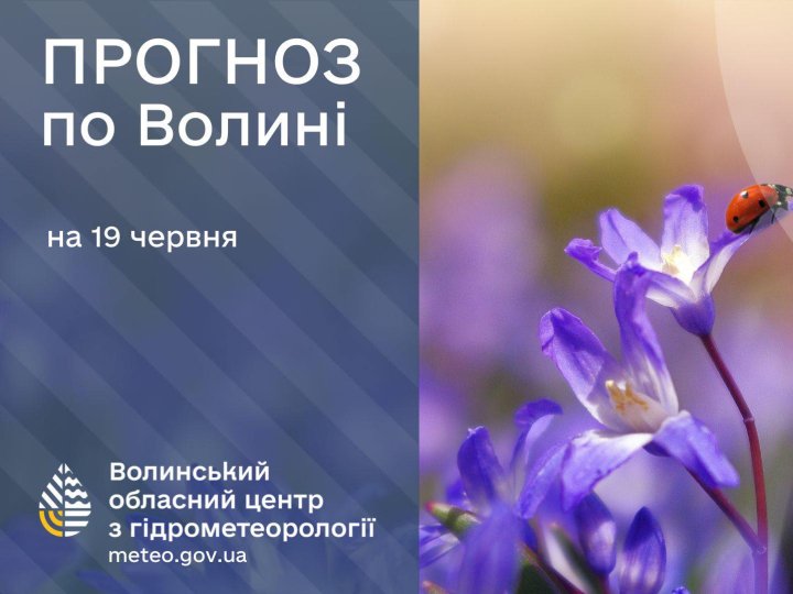 Погода в Луцьку та Волинській області на завтра, 19 червня