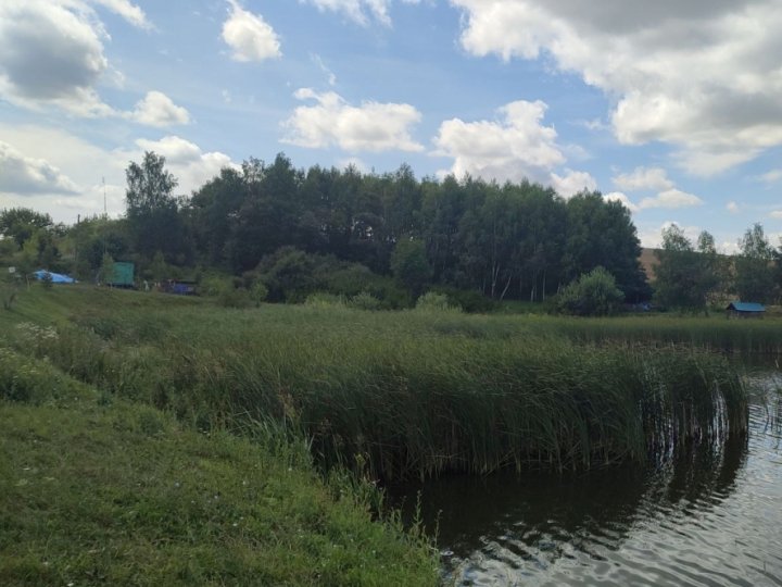 За 50 кілометрів від Луцька здають в оренду водойму