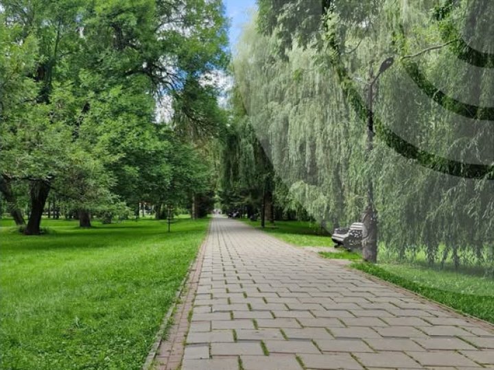 Якою буде погода у середу, 24 липня в Луцьку та на Волині