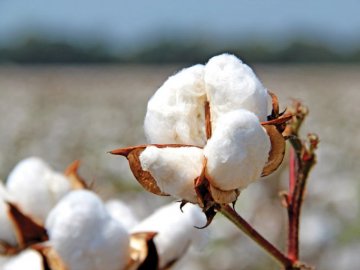 Про знищені російські літаки і атаку на кадирівців: добрі новини від ВолиньPost за 30 серпня