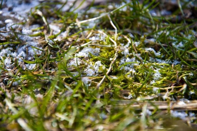 Сонце, весна, котики: як Луцьк прокидається після зими. ФОТО