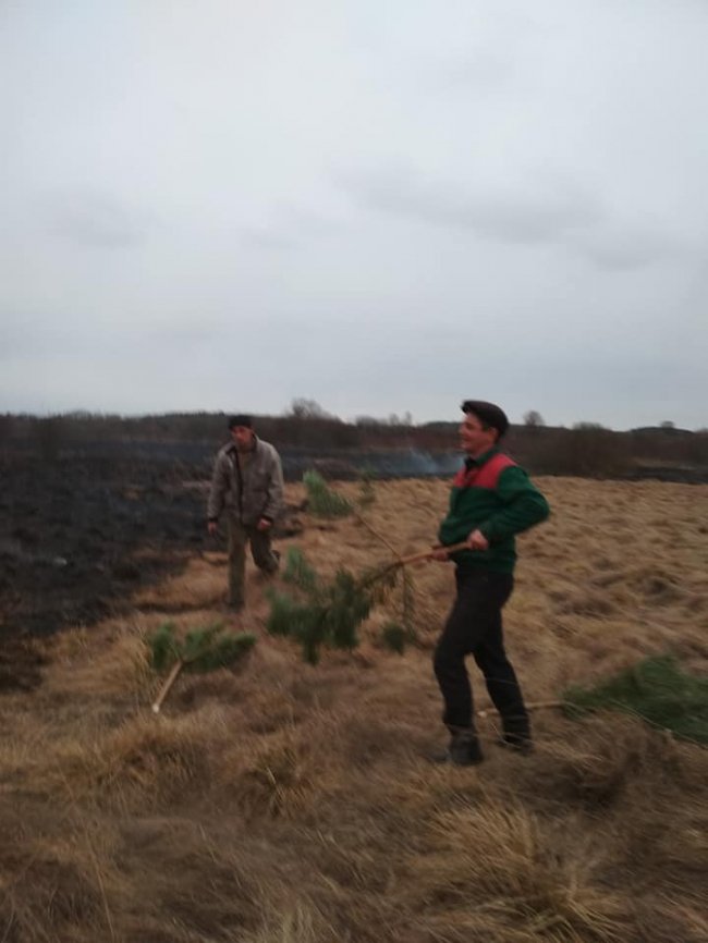 За кілька десятків метрів: на Волині відчайдухи приборкали пожежу, яка вже підбиралася до села. ФОТО