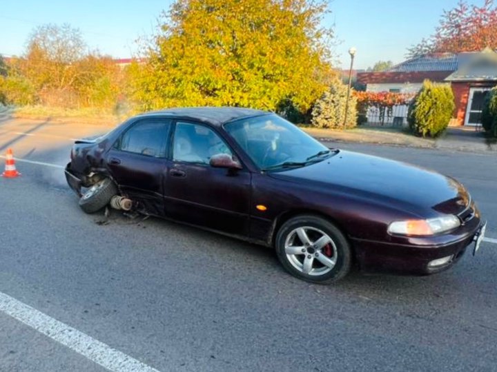 У селі біля Луцька водій зловив ґаву і спричинив ДТП. ФОТО
