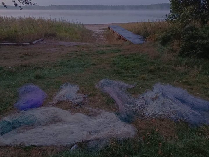 На Волині з озер витягнули понад 4 кілометри браконьєрських сіток