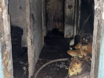 У Володимирі вночі сталась пожежа у багатоповерхівці, евакуйовували 30 людей. ФОТО