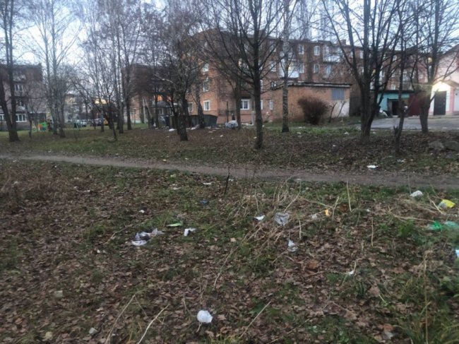 Сміття розлітається по всій окрузі: мешканці волинського міста скаржаться на майданчик для відходів. ФОТО
