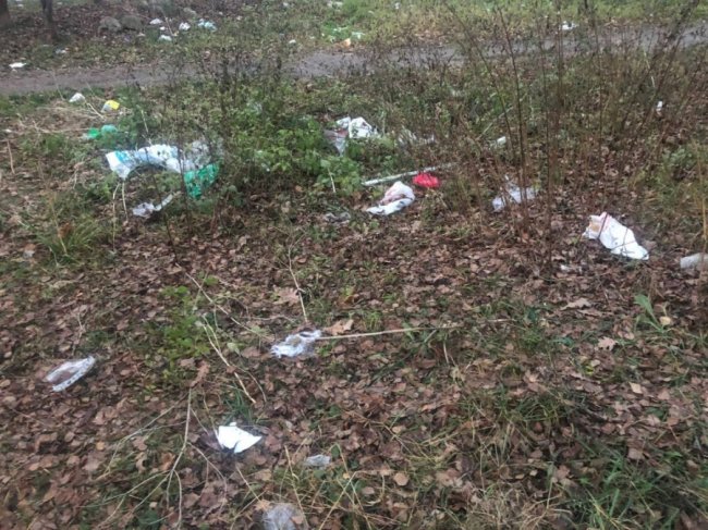 Сміття розлітається по всій окрузі: мешканці волинського міста скаржаться на майданчик для відходів. ФОТО