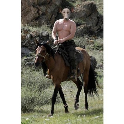 Собака і Путін: фотожаби