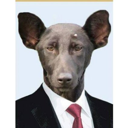 Собака і Путін: фотожаби