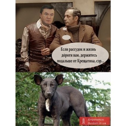 Собака і Путін: фотожаби