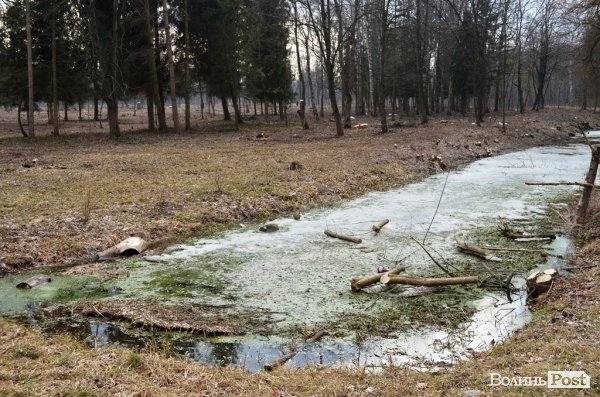 У центральному парку Луцька наведуть марафет