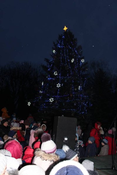 Головні новорічні ялинки Волині. ФОТО