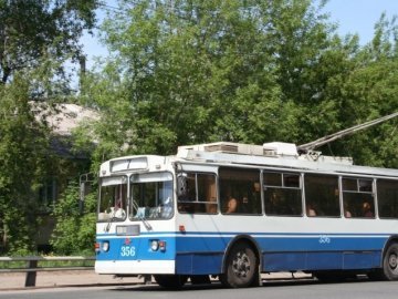 У  Ковелі на Провідну неділю буде більше автобусів