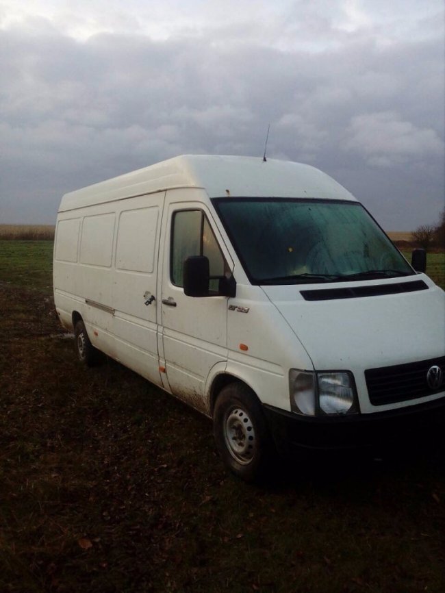 На Волині браконьєри нарубали лісу на 50 тисяч