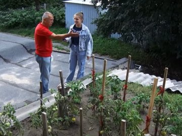 У центрі Луцька чоловік вирощує помідори на даху. ВІДЕО
