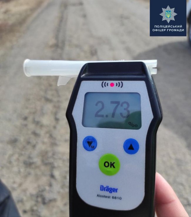 П'яний волинянин за кермом ВАЗа злетів у кювет