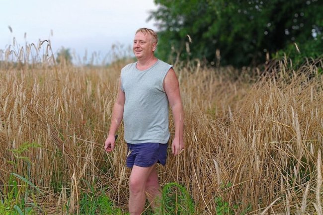 Народна майстриня з Волині із сім'єю заготовляє матеріали для соломоплетіння. ВІДЕО