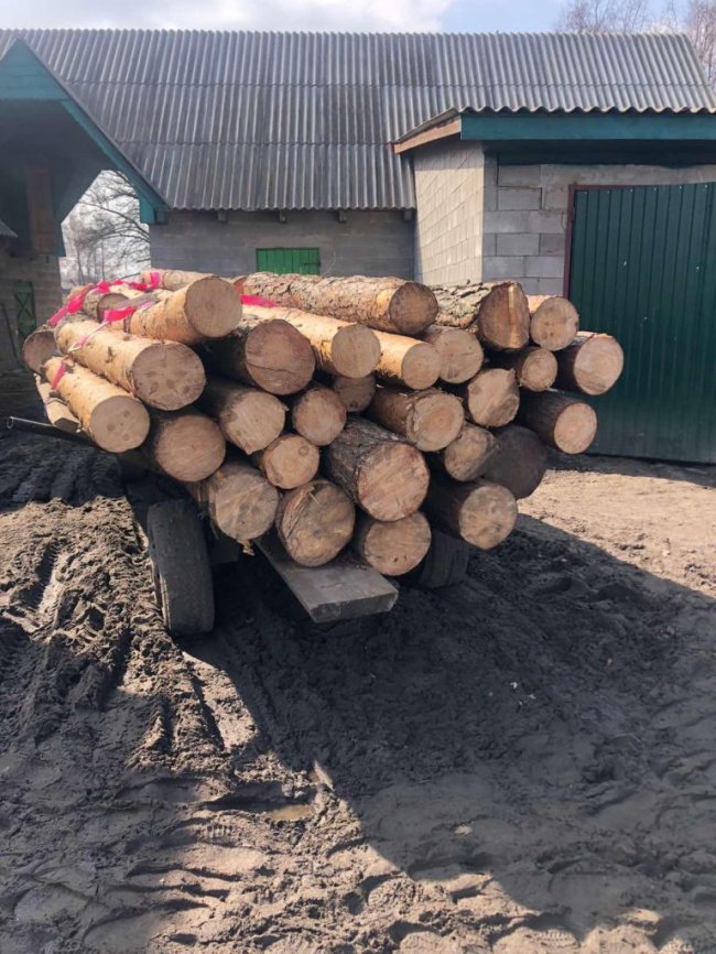 На Волині на одній з пилорам знайшли нелегальну деревину. ФОТО