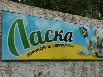 У Луцьку просять перевірити КП «Ласка» та змінити директора