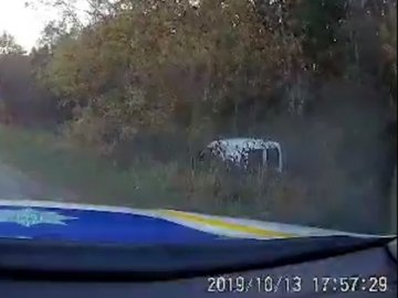 Злетів в кювет і продовжив втікати: на Волині поліція наздоганяла п’яного водія. ВІДЕО