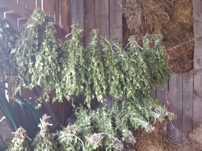 Волинські лісівники заготовляють смаколики на зиму для диких тварин. ФОТО