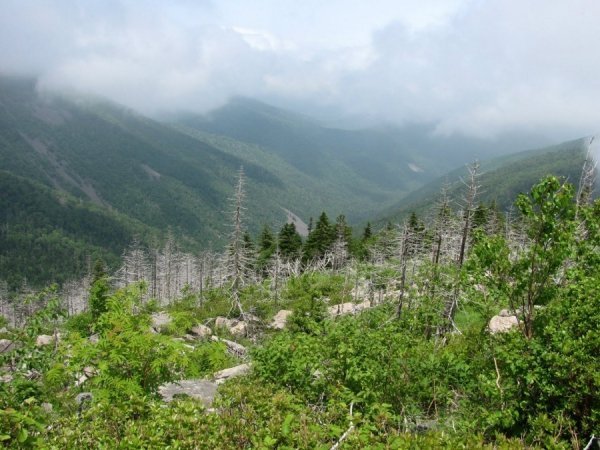 Автор - Жердьова Марина