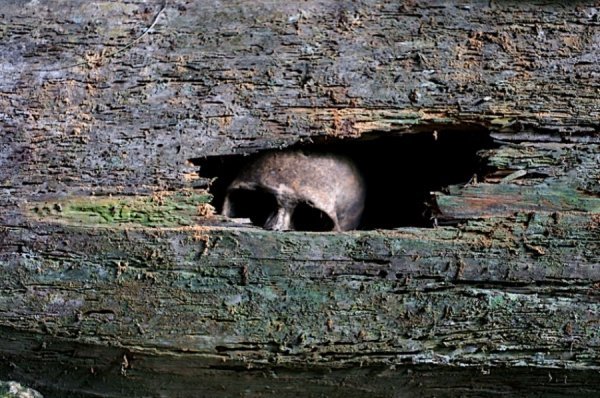 25 моторошних місць на планеті