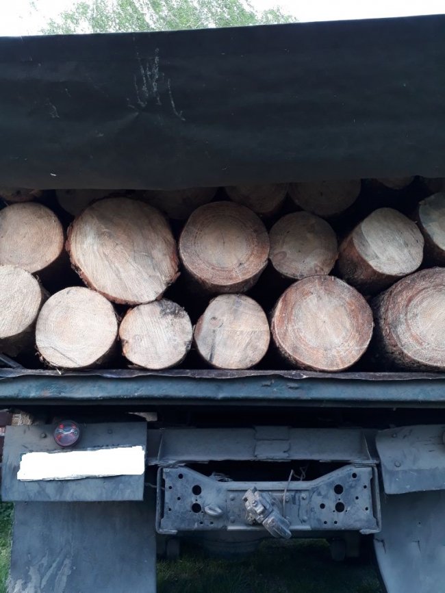 На Волині зловили авто, завантажене незаконно зрубаним лісом
