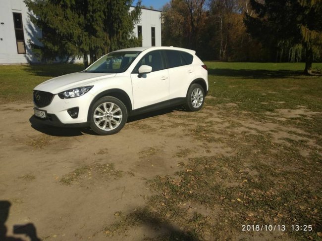 У луцькому парку зловили «автохама», який влаштував «комедію» правоохоронцям