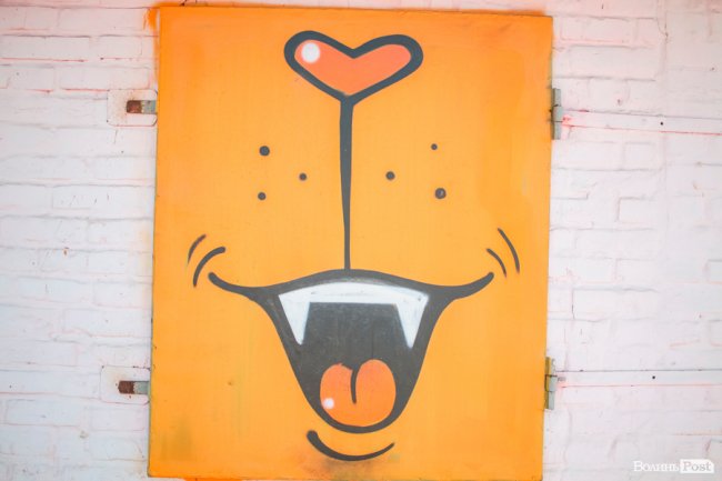 Безіменна вулиця і неназваний ставок: чим особливий неквапливий Вишків. ФОТО