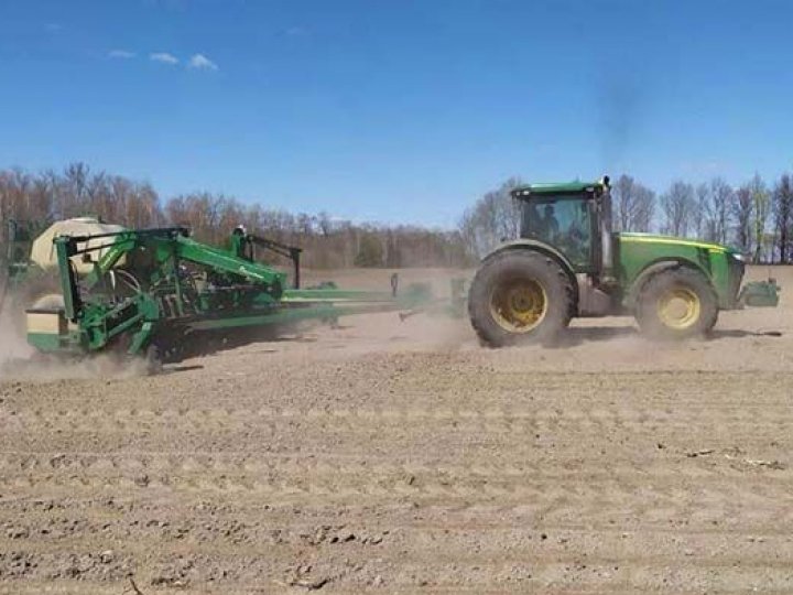 На Волині ярими зерновими і зернобобовими засіяно вже третину від запланованих площ