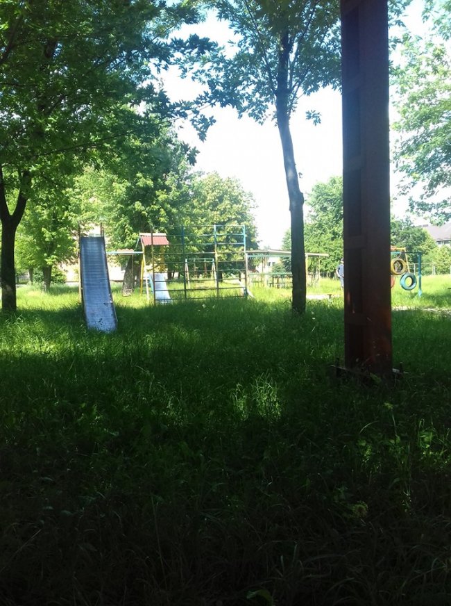 «Суцільний чагарник», – волинянка про своє місто. ФОТО