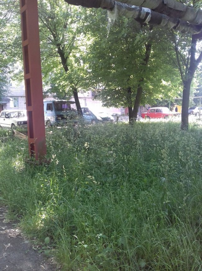 «Суцільний чагарник», – волинянка про своє місто. ФОТО