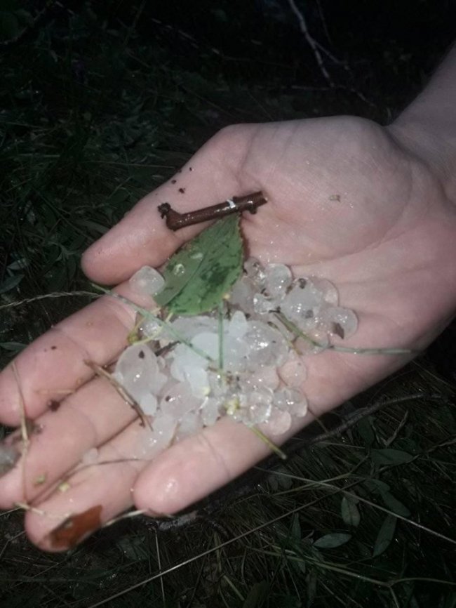 У волинському селищі негода вирвала дерева із землі. ФОТО