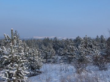 Погода в Луцьку та Волинській області на завтра, 19 грудня