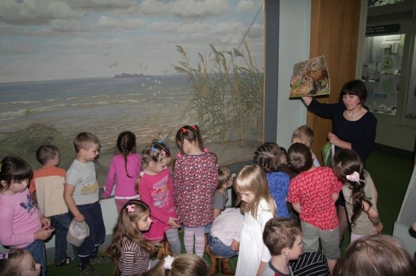 У Луцьку дошкільнят учили берегти природу. ФОТО