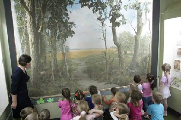 У Луцьку дошкільнят учили берегти природу. ФОТО