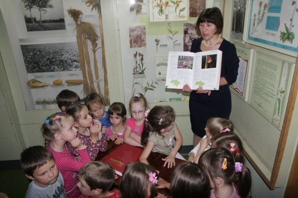 У Луцьку дошкільнят учили берегти природу. ФОТО