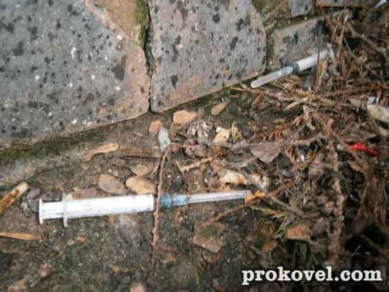 У центрі Ковеля - сміттєва «оаза». ФОТО