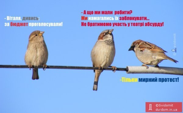 Інтернет висміює скандальне голосування у Раді. ФОТО