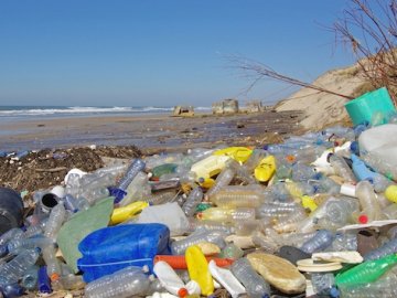 Небезпечні відходи: людство потерпає від пластикового сміття 
