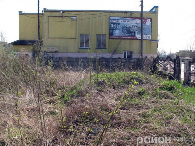 Закинуту ділянку у центрі Ковеля окупували вужі. ФОТО