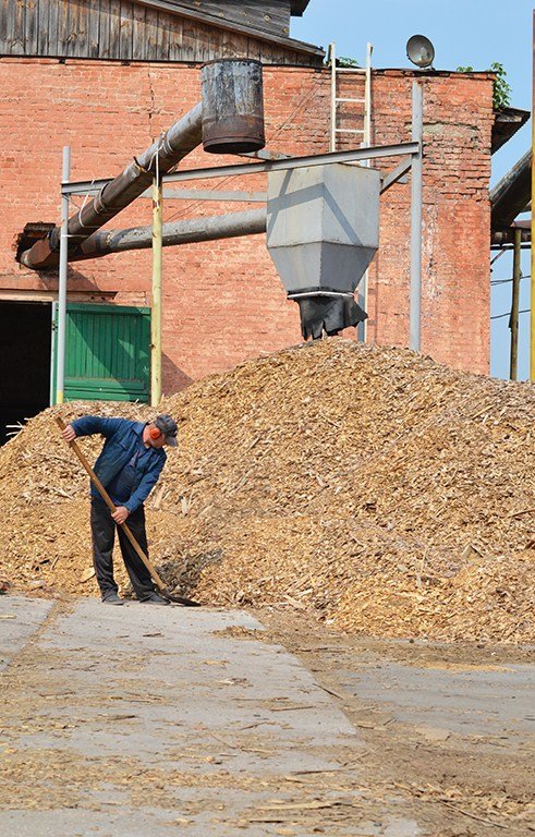 «Тверде паливо допоможе пережити зиму», – головний лісівник Волині. ФОТО
